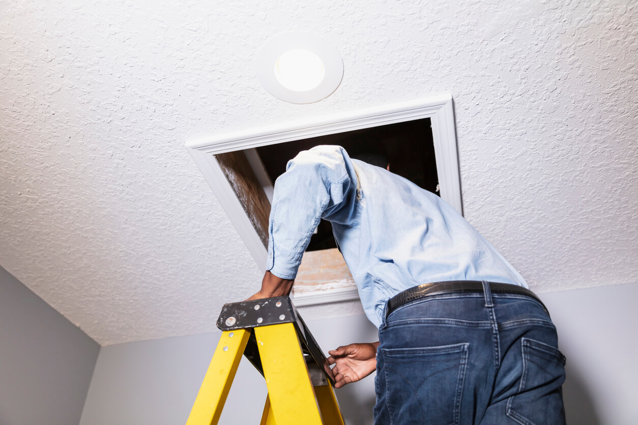 How Annual Home Inspections Can Save You Money in the Long Run